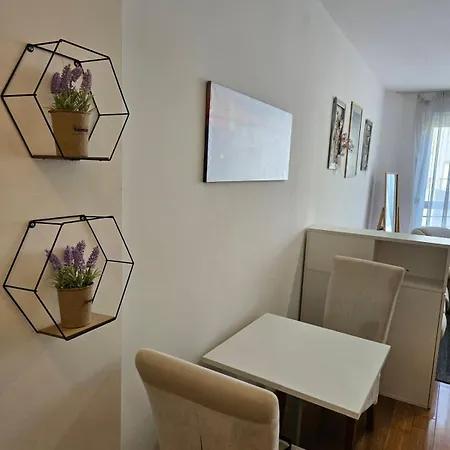 Daire City Apartment Filip *